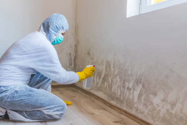 Licensed Hvac And Air Duct Mold Remediation service in Newport News, VA - 24 Hour Mold Removal